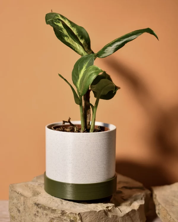 Cache-pot 10Ø