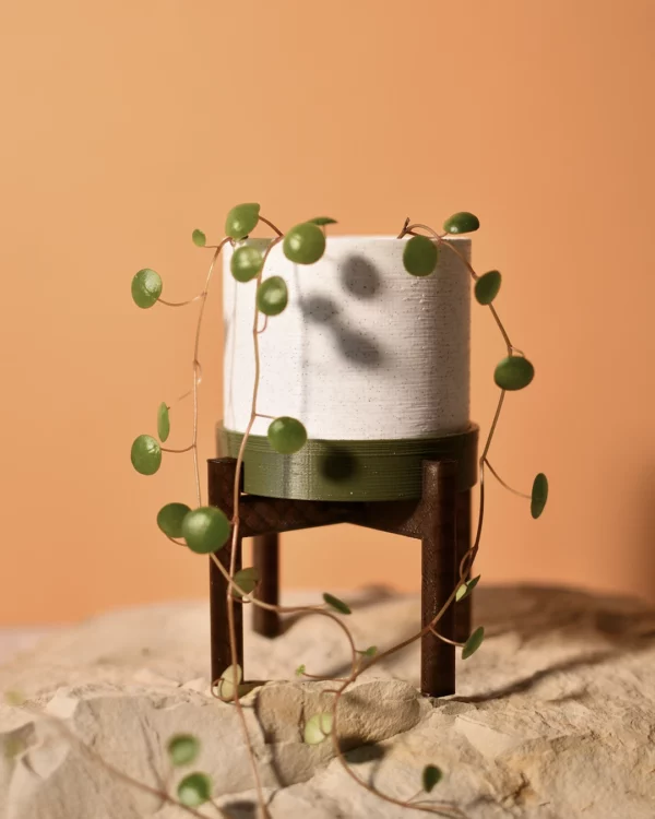 Cache-pot 6Ø
