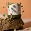 Cache-pot 6Ø