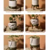Cache-pot 10Ø