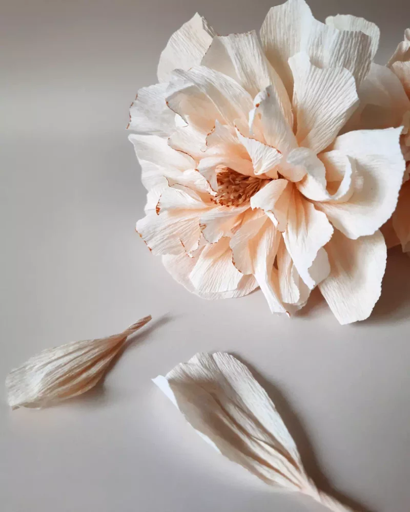 Bouquet pêche de coton – Image 4