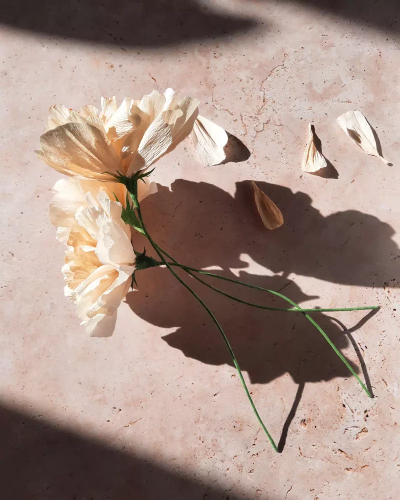 Bouquet pêche de coton – Image 3