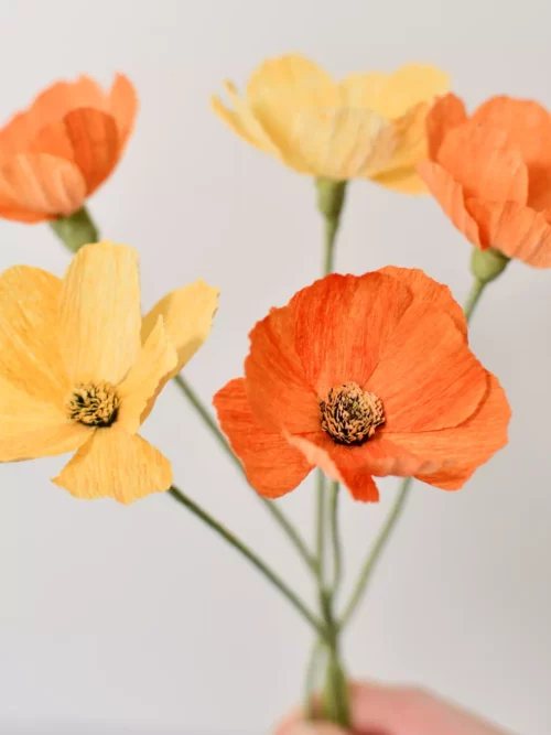 Bouquet de cosmos jaune et orange