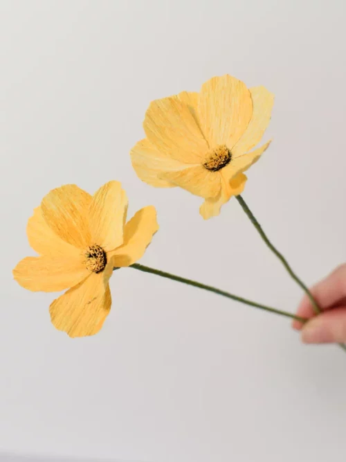 Fleurs de cosmos en papier