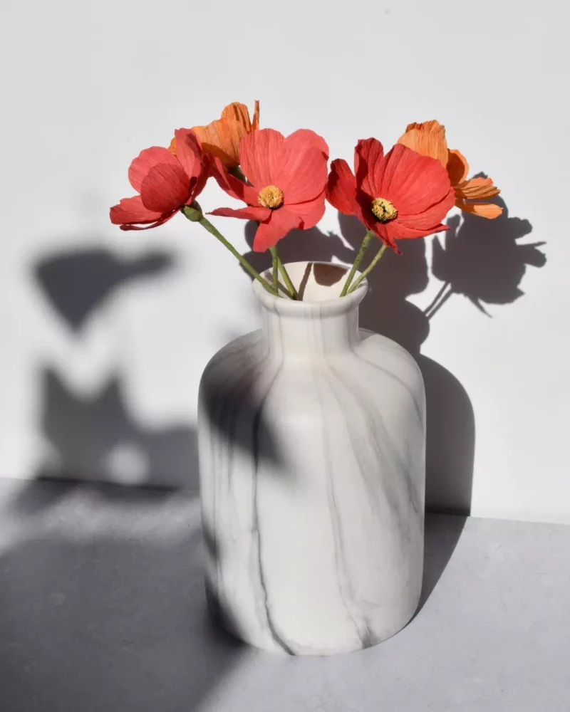 Bouquet de cosmos orange et rouge – Image 7