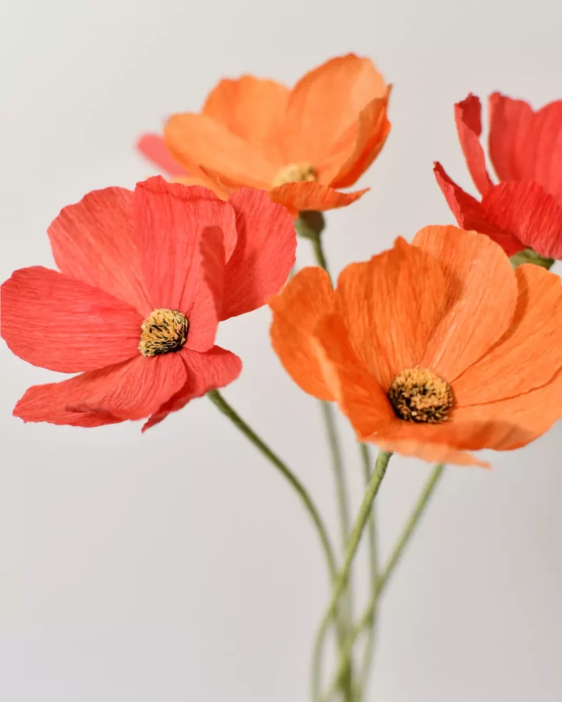 Fleur en papier bouquet de cosmos