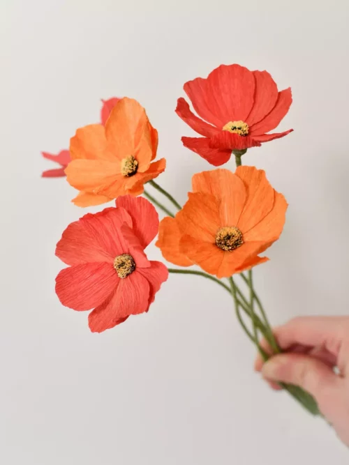 Bouquet de cosmos en papier orange et rouge