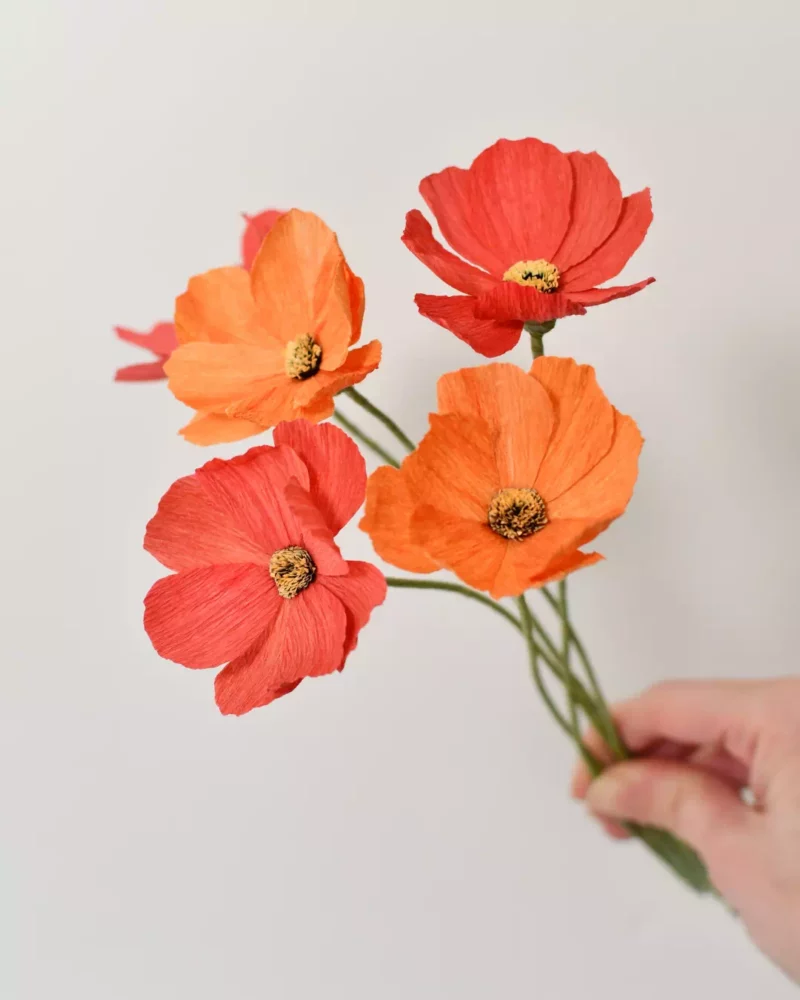 Bouquet de cosmos en papier orange et rouge