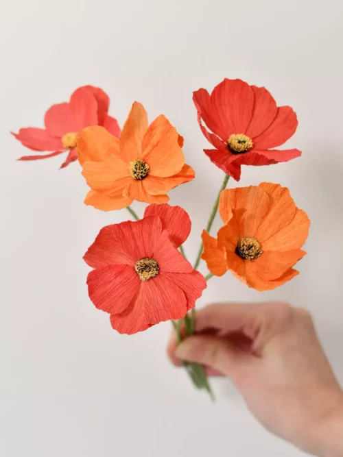 Fleurs de cosmos en papier