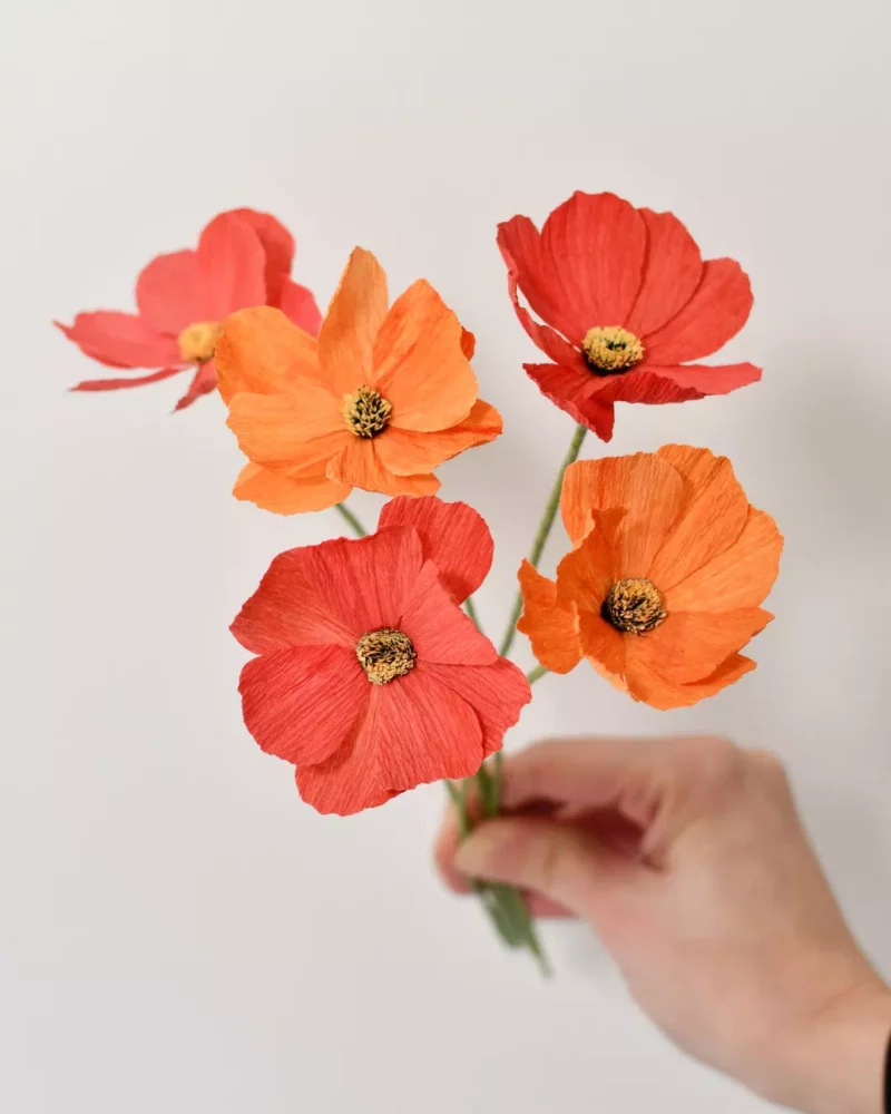 Fleurs de cosmos en papier