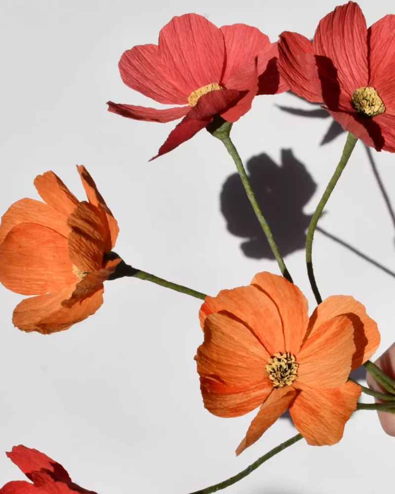 Bouquet de cosmos orange et rouge – Image 6