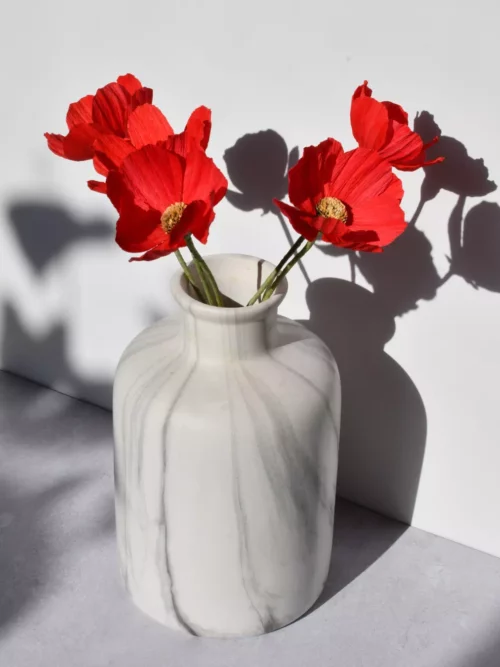 Fleurs de cosmos rouge