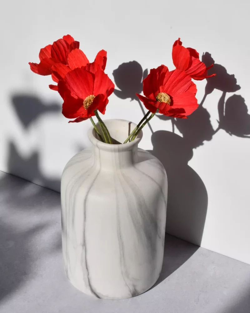 Fleurs de cosmos rouge