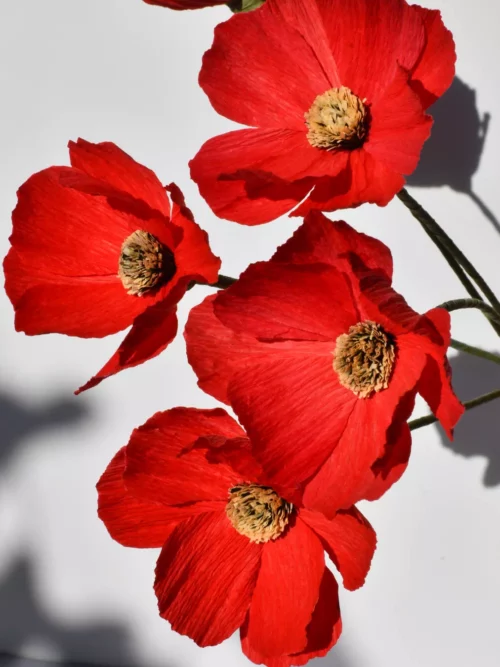 Fleur en papier bouquet de cosmos rouge