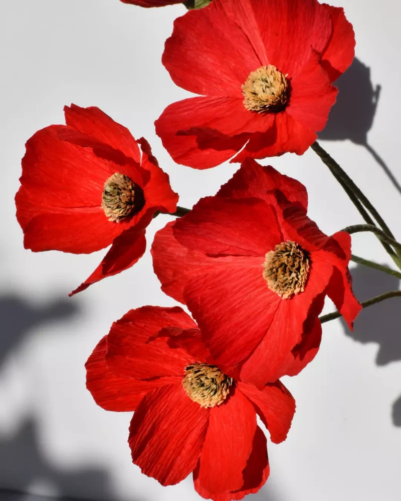 Fleur en papier bouquet de cosmos rouge
