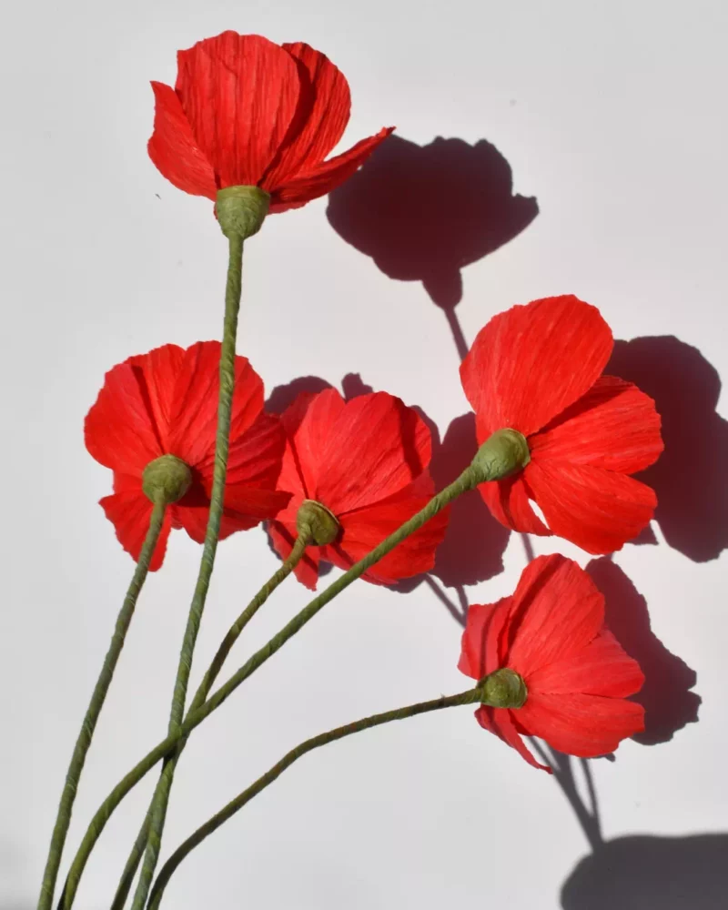 Bouquet de cosmos rouge – Image 3