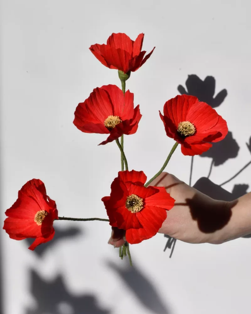 Fleurs en papier cosmos rouge