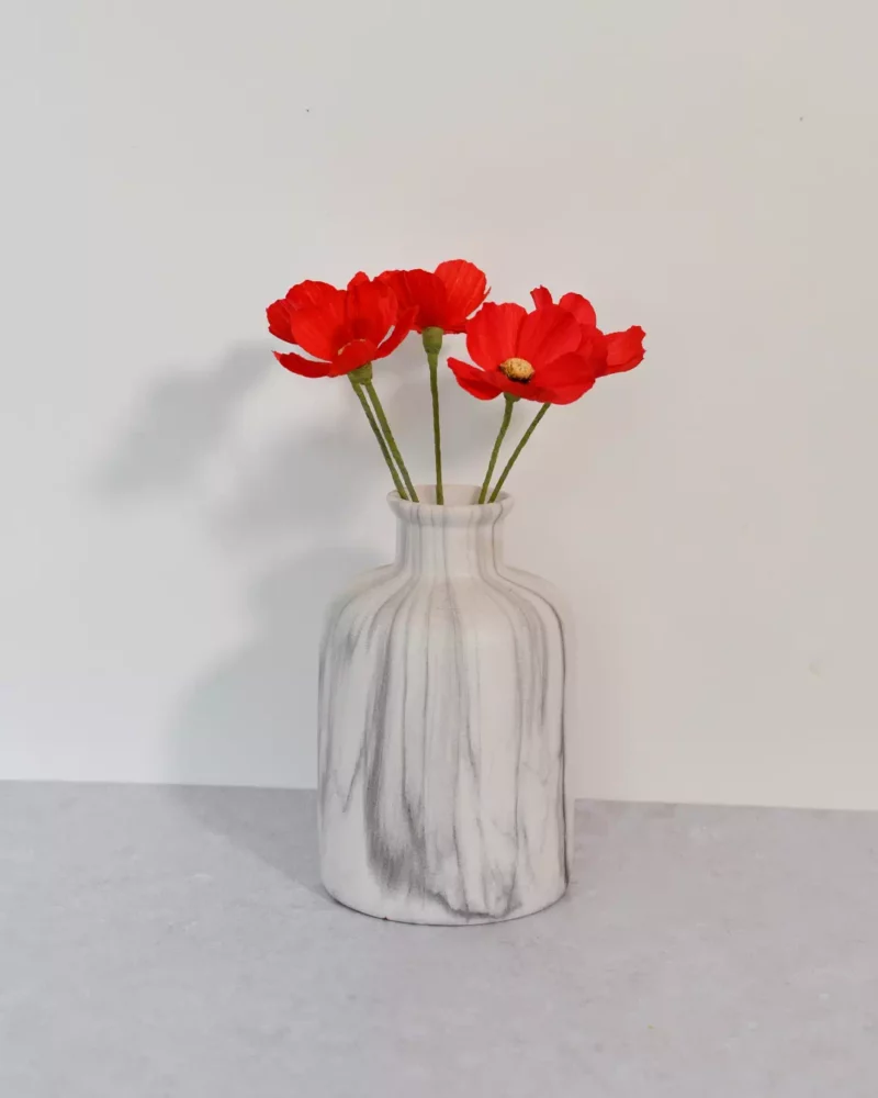 Bouquet de cosmos rouge – Image 6
