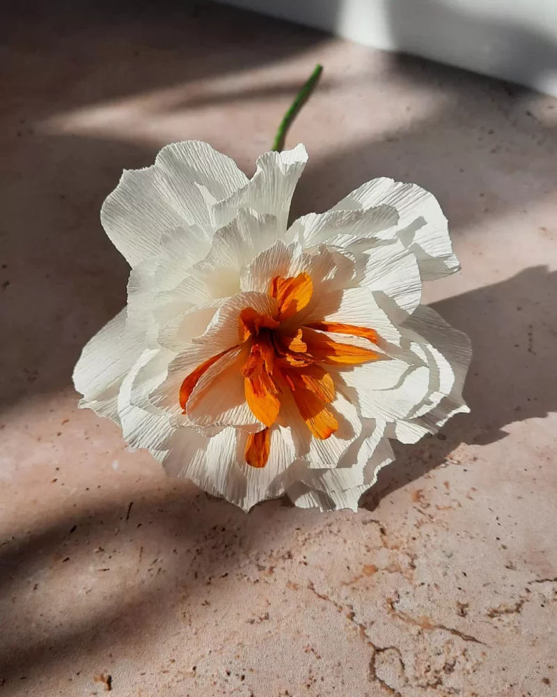 Bouquet nuage d'agrumes – Image 4