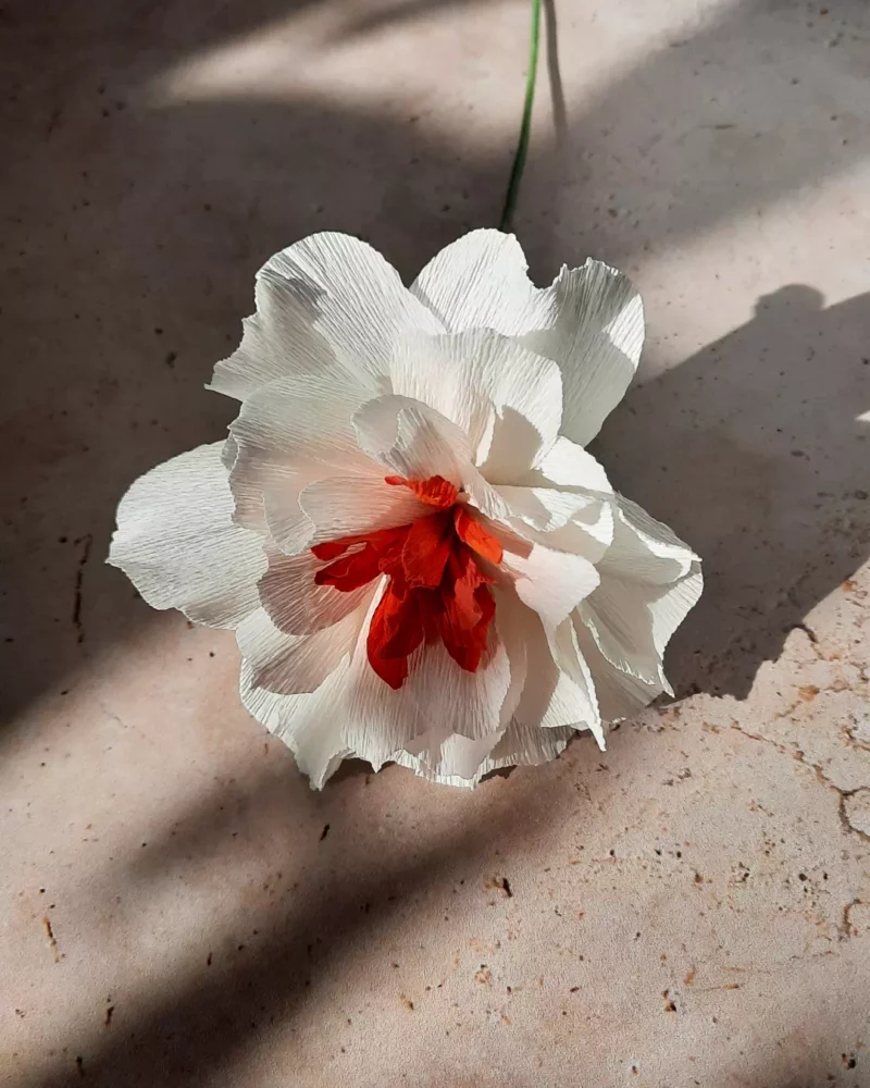 Bouquet nuage d'agrumes – Image 5
