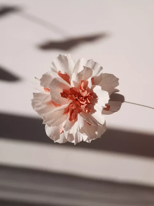 Création de fleur en papier