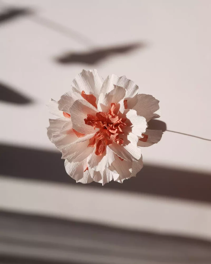Création de fleur en papier