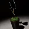 Vitrail champignon noir