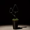 Vitrail champignon noir