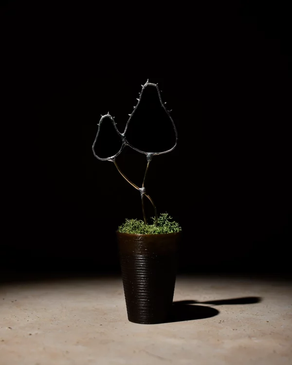 Vitrail champignon noir