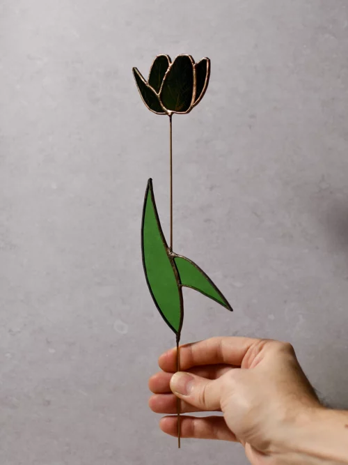 Vitrail Tulipe noire semi-ouverte