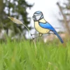 Vitrail Mésange bleue