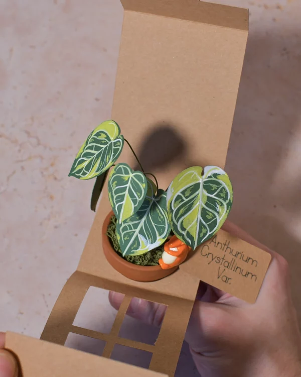 Mini plante en papier Pack Anthurium Lover