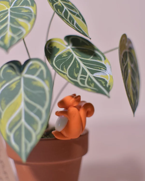 Mini plante en papier Pack Anthurium Lover