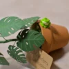 Solnae-mini-plante-pack-mini-jungle-detail Mini plante en papier Pack Mini Jungle