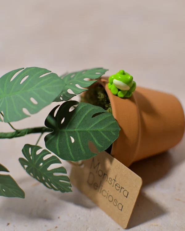 Solnae-mini-plante-pack-mini-jungle-detail Mini plante en papier Pack Mini Jungle