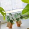 Solnae-mini-plante-pack-mini-jungle-mise-en-ambiance Mini plante en papier Pack Mini Jungle
