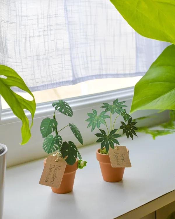 Solnae-mini-plante-pack-mini-jungle-mise-en-ambiance Mini plante en papier Pack Mini Jungle