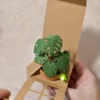 Solnae-mini-plante-pack-mini-jungle-packaging Mini plante en papier Pack Mini Jungle