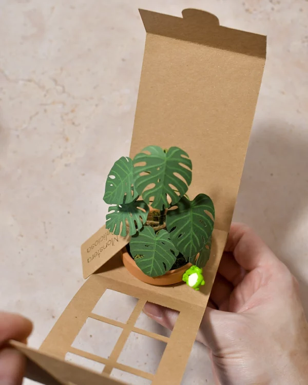 Solnae-mini-plante-pack-mini-jungle-packaging Mini plante en papier Pack Mini Jungle