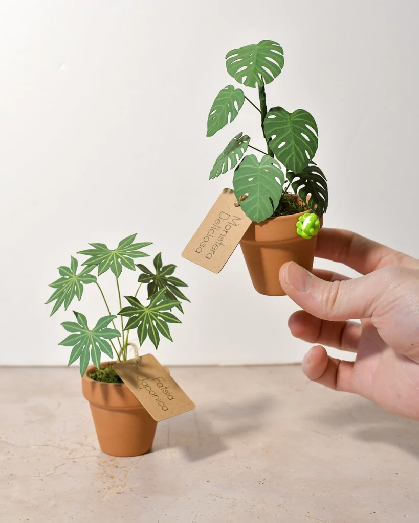 mini plantes en pot terre cuite