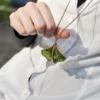 Ginkgo-nintai-collier-main-vert Vitrail Collier Ginkyo Nintai vert