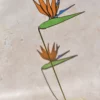 Fleur de Strelizia
