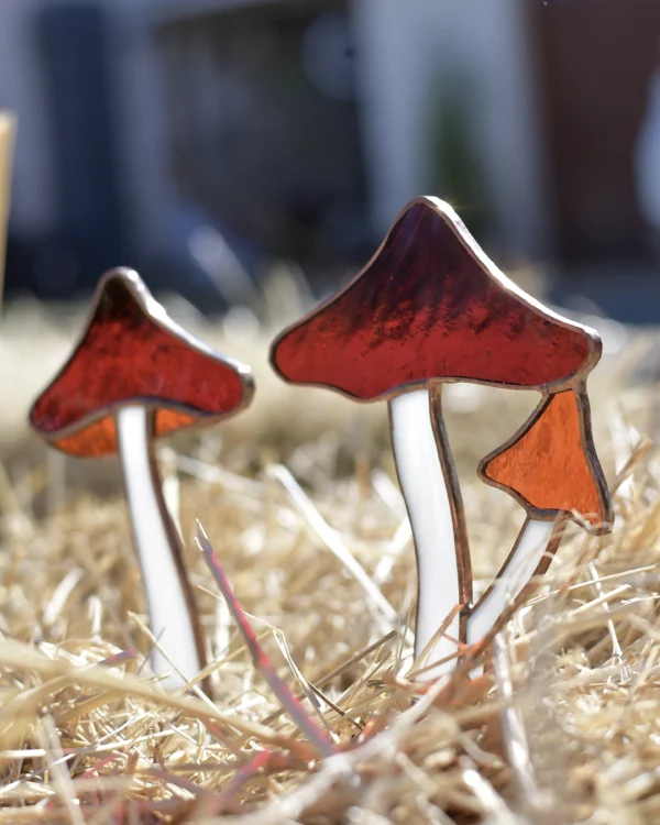 Vitrail Champignon chapeau de sorcière - Le Grand