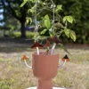 Vitrail Champignon chapeau de sorcière