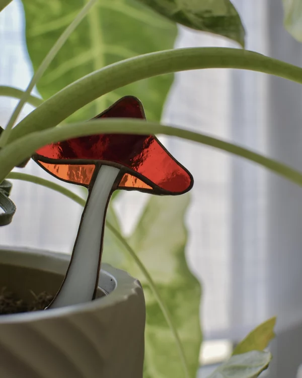 Vitrail Champignon chapeau de sorcière