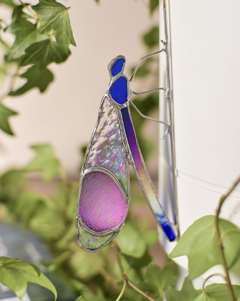 Vitrail Demoiselle (à planter)
